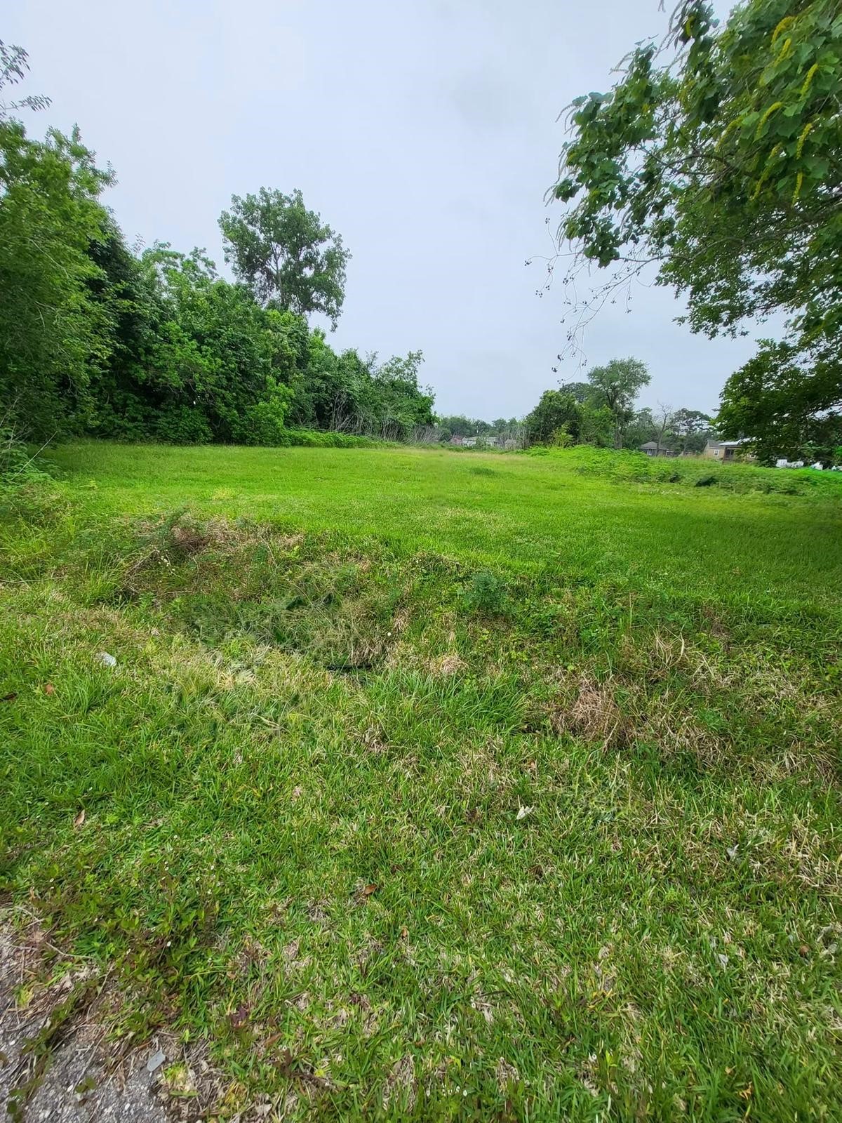 0 Kansas Street La Marque, TX 77568 - Photo 5 of 16 a view of yard with green space