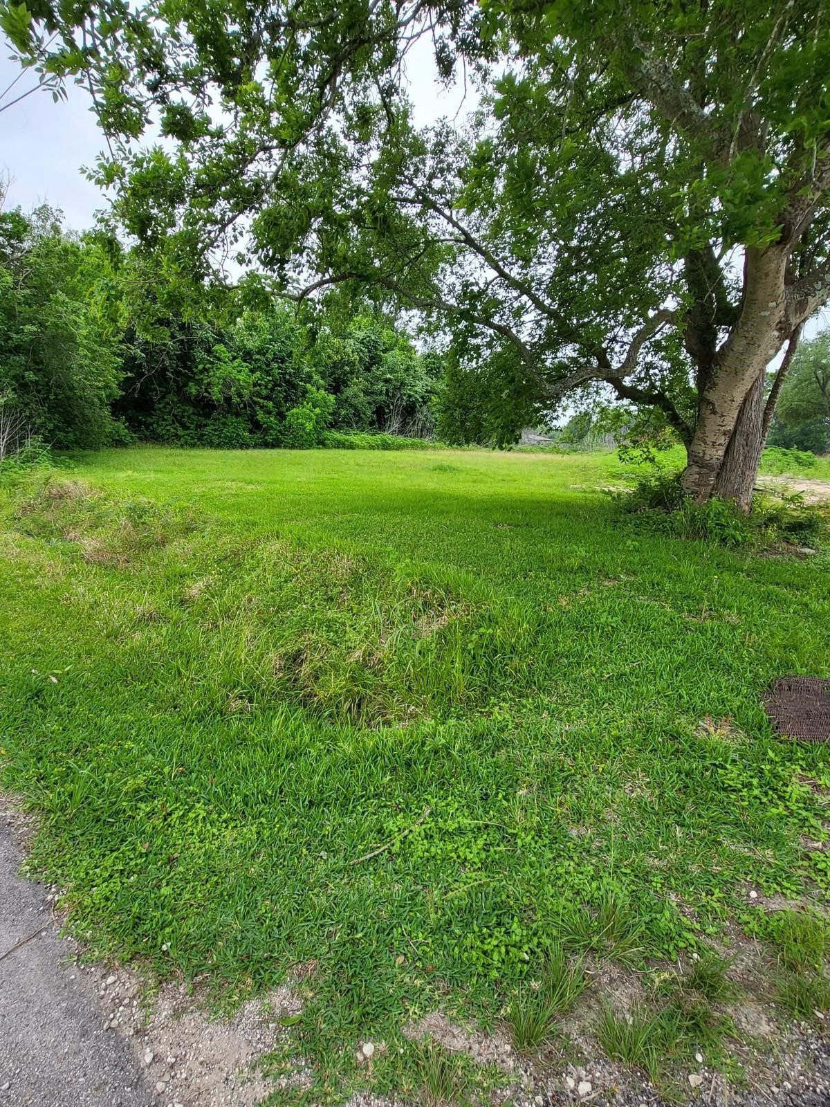 0 Kansas Street La Marque, TX 77568 - Photo 7 of 16 a view of a garden with a tree