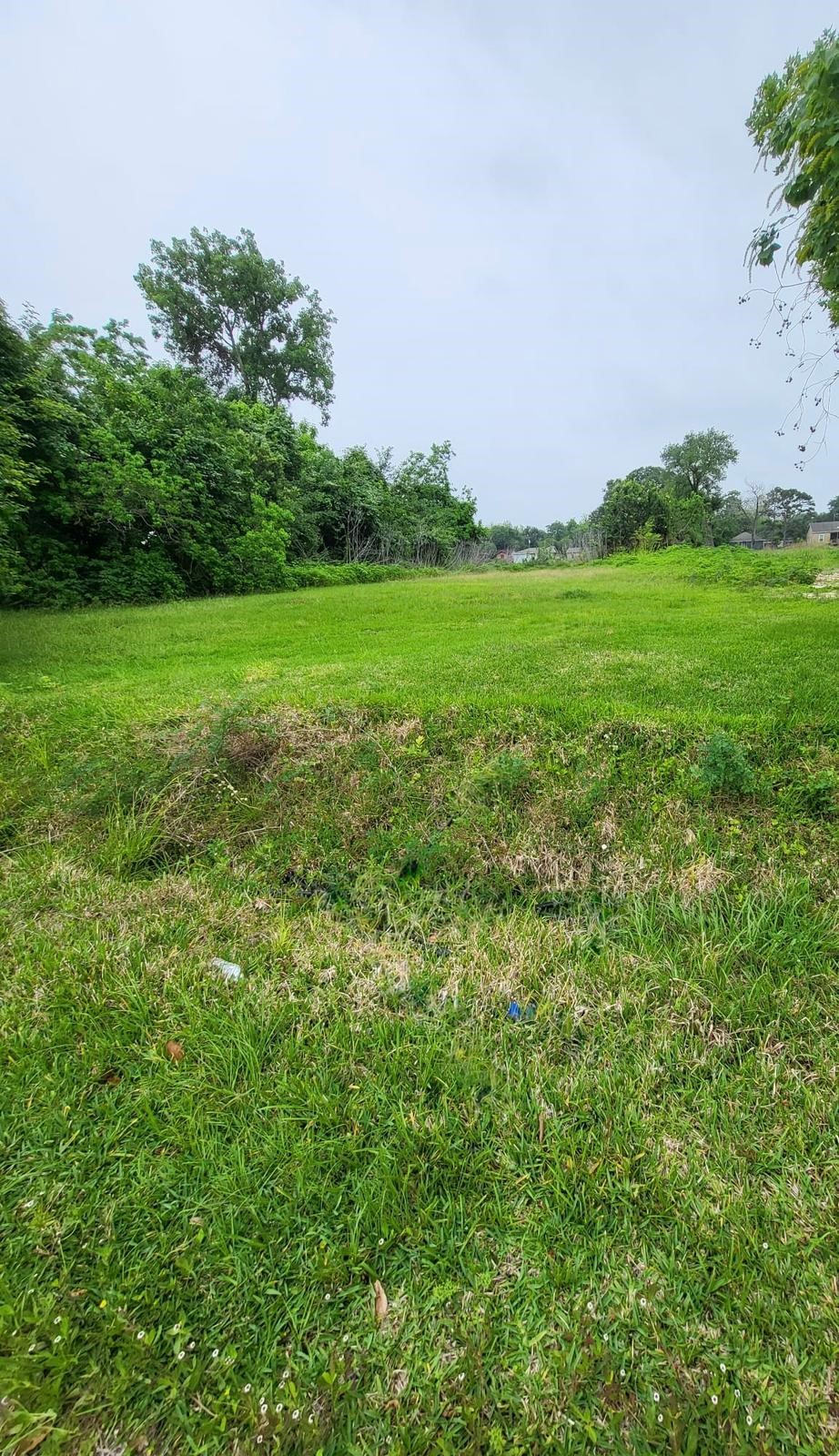0 Kansas Street La Marque, TX 77568 - Photo 8 of 16 a backyard of a house with lots of green space and fog
