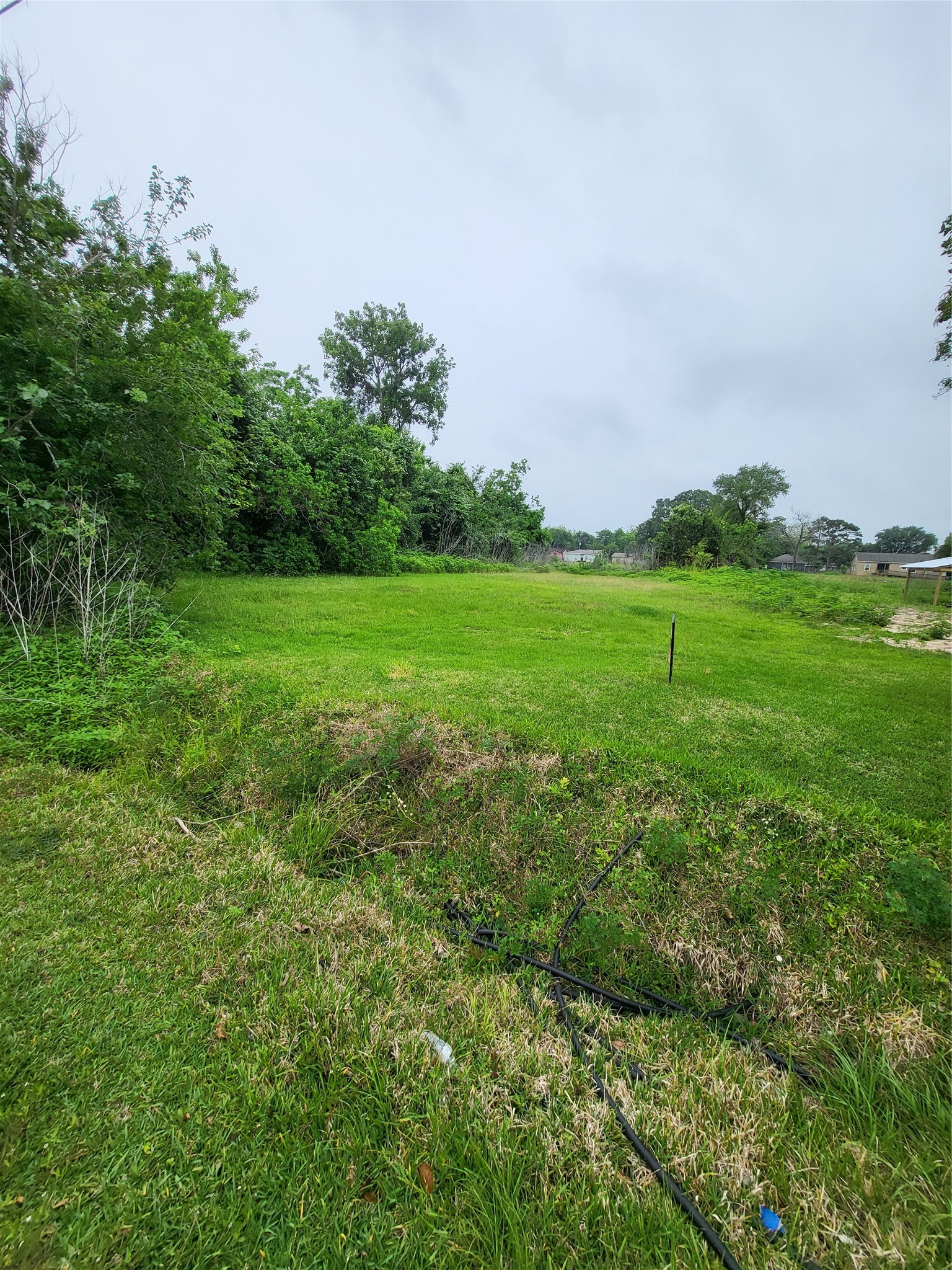 0 Kansas Street La Marque, TX 77568 - Photo 10 of 16 a view of a lush green space