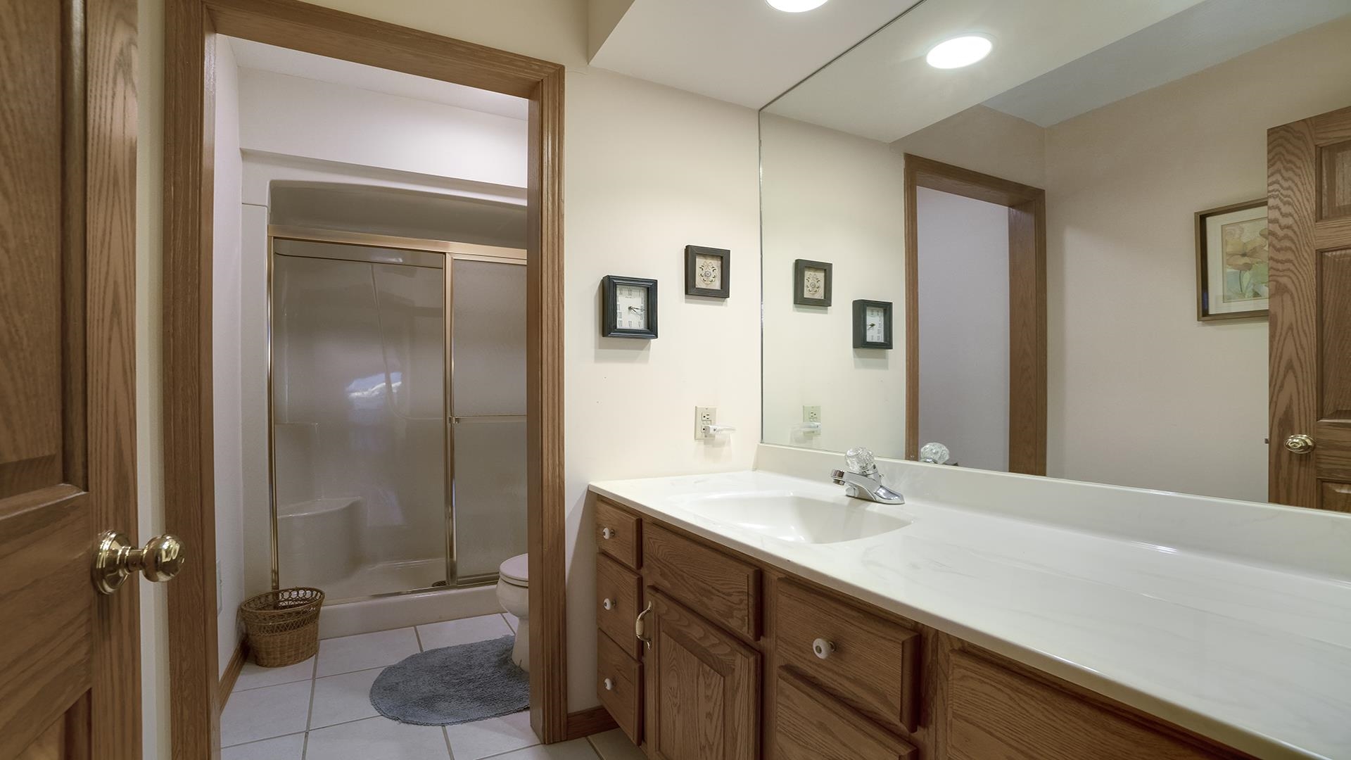 1921 Wildcat Road Dixon, IL 61021 - Photo 31 of 63 a bathroom with a sink a toilet and shower