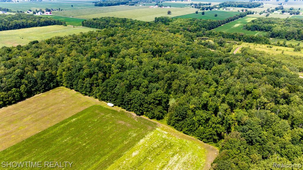 1176-vl Irwin Road Richmond, MI 48062 - Photo 4 of 12 Gallery Image 4