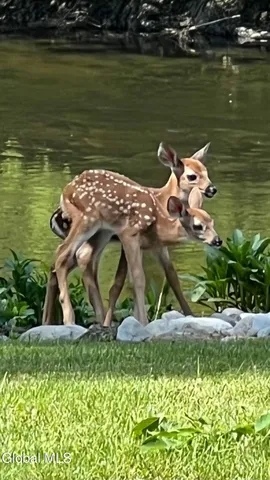 $550,000 | 2158 Highway 29, Greenwich, NY 12834