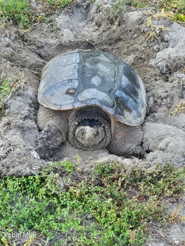 $550,000 | 2158 Highway 29, Greenwich, NY 12834