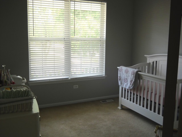 338 Quarry Ridge Circle Sugar Grove, IL 60554 - Photo 12 of 22 a view of a room with a window