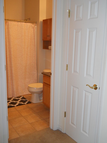 338 Quarry Ridge Circle Sugar Grove, IL 60554 - Photo 14 of 22 a bathroom with a toilet a sink and shower