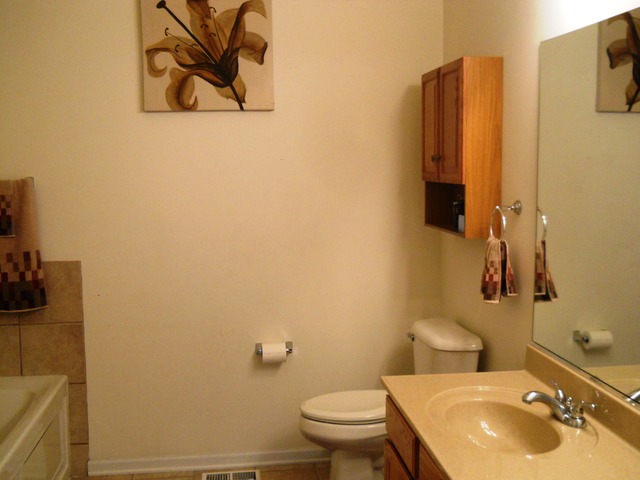 338 Quarry Ridge Circle Sugar Grove, IL 60554 - Photo 16 of 22 a bathroom with a sink and mirror with toilet