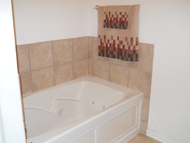 338 Quarry Ridge Circle Sugar Grove, IL 60554 - Photo 17 of 22 a bathroom with a bathtub