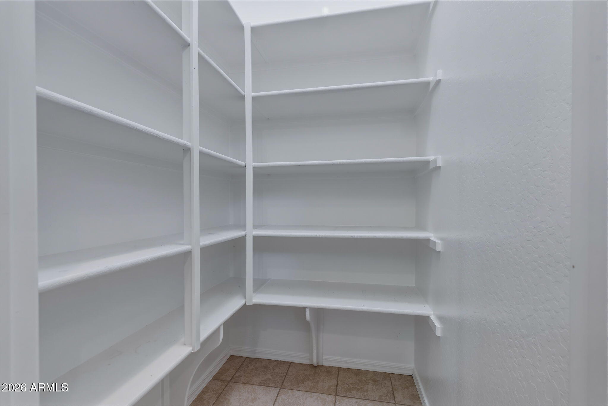 17543 West Buckhorn Trail Surprise, AZ 85387 - Photo 22 of 104 a view of walk in closet with empty racks