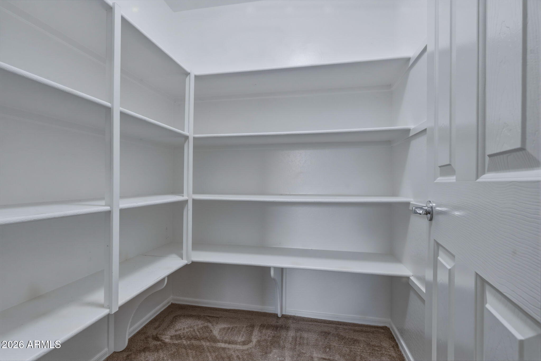 17543 West Buckhorn Trail Surprise, AZ 85387 - Photo 23 of 104 a view of walk in closet with empty racks