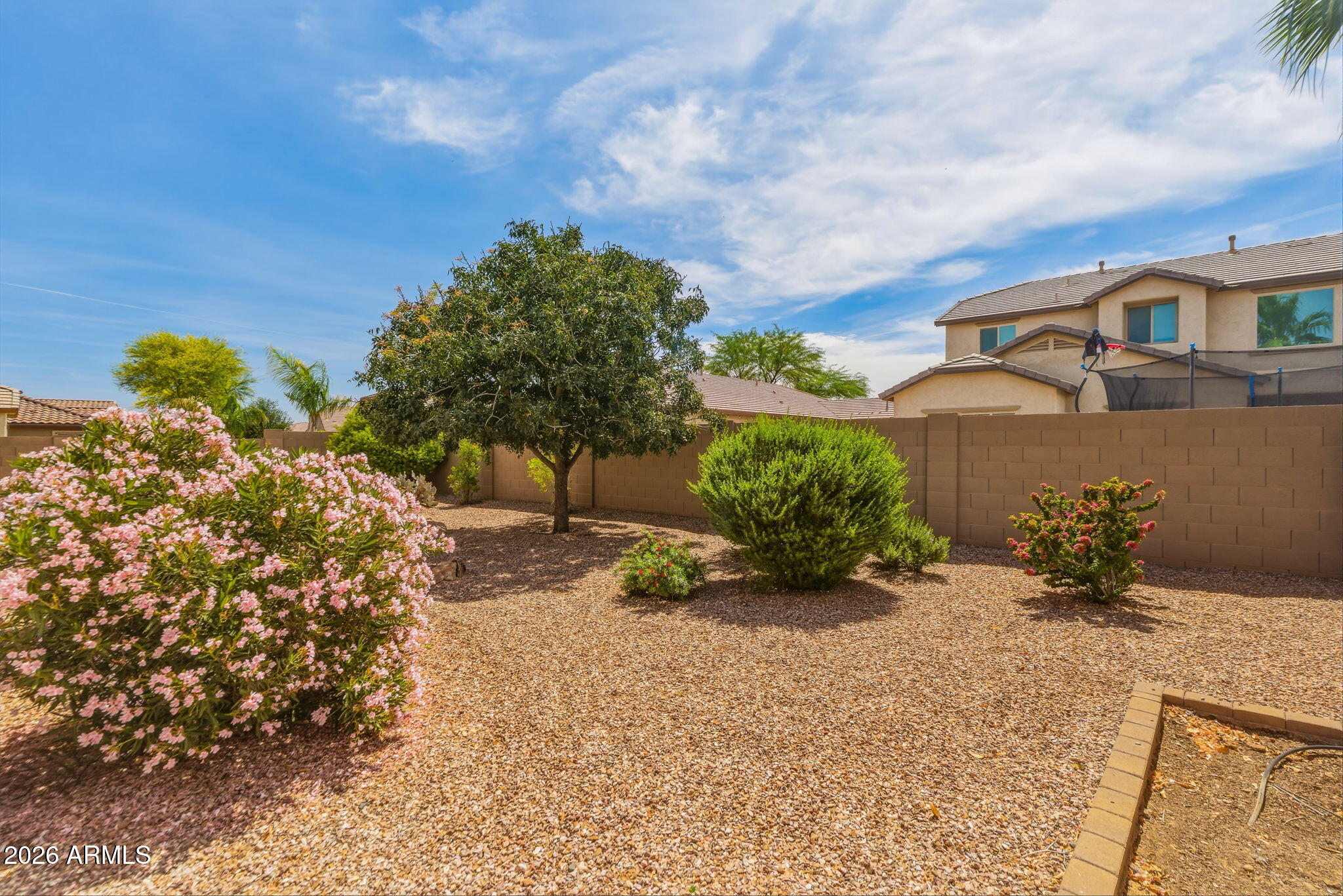 17543 West Buckhorn Trail Surprise, AZ 85387 - Photo 62 of 104 Back Yard