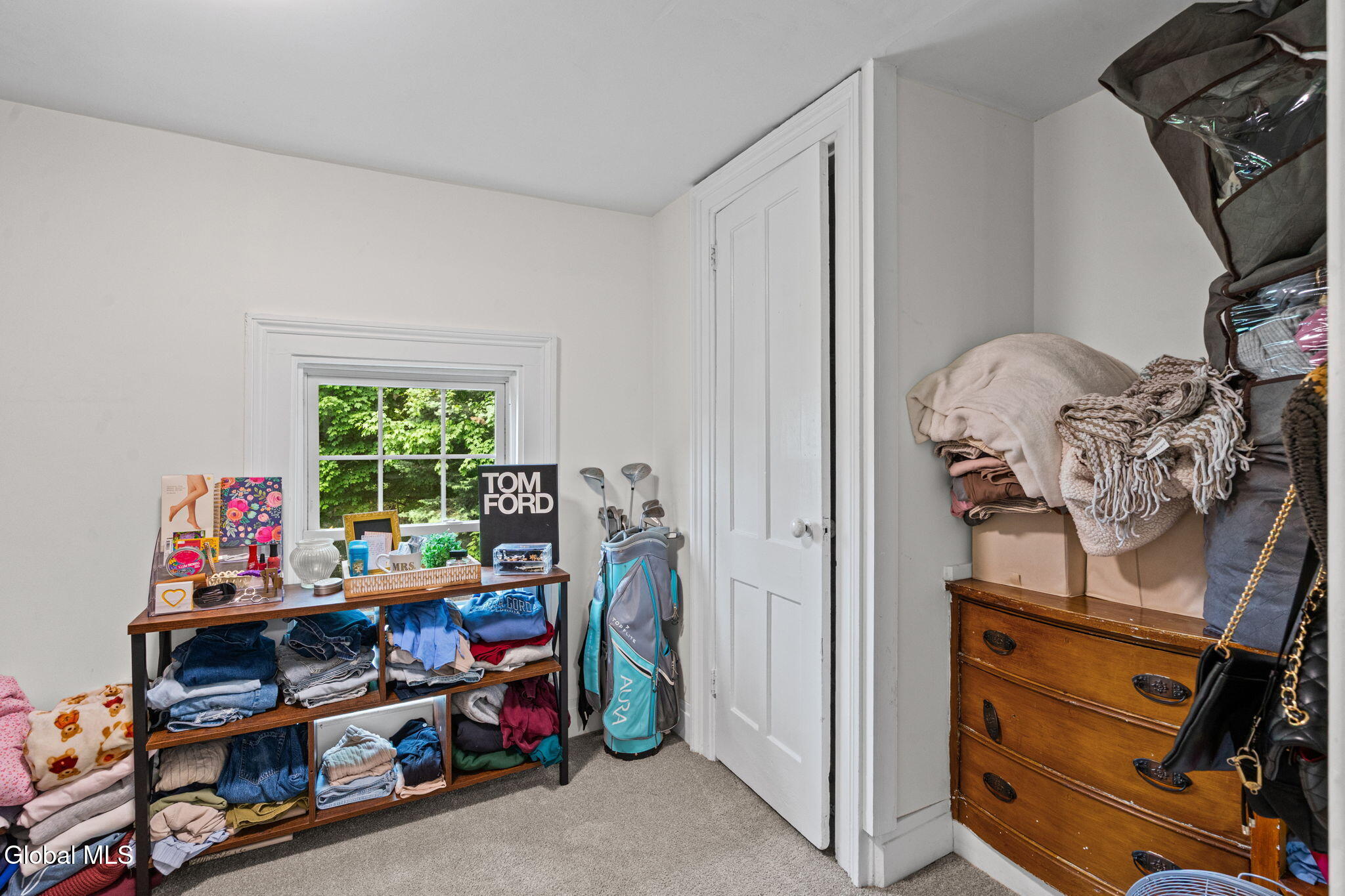 190 Spring Avenue Troy, NY 12180 - Photo 20 of 41 29-web-or-mls-190-spring-ave