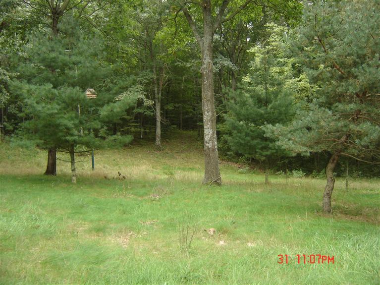 4250 Adams Road Lake, MI 48632 - Photo 3 of 5 Additional Photo