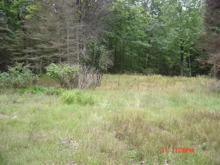 4250 Adams Road Lake, MI 48632 - Photo 5 of 5 Additional Photo