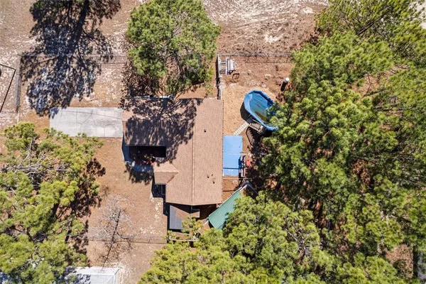 a picture of flowers