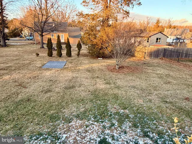 a view of a white house with a large tree