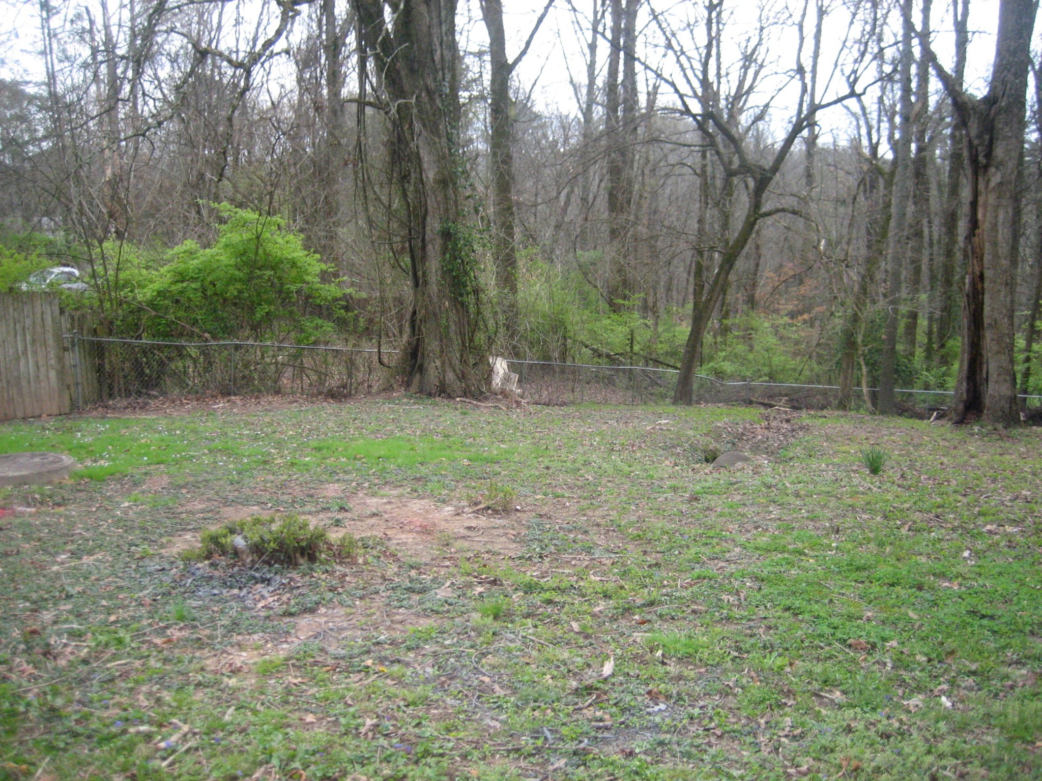 679 West Outer Drive Oak Ridge, TN 37830 - Photo 23 of 24 Gallery Image 23