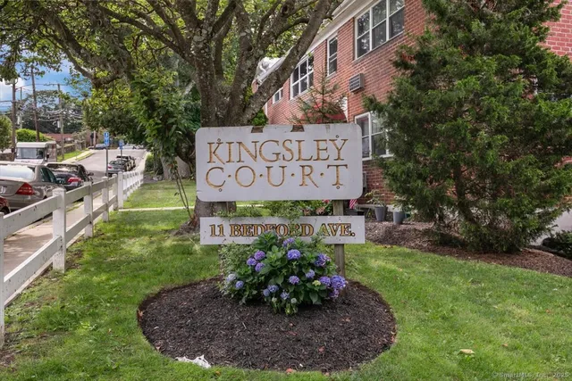 a park with large trees