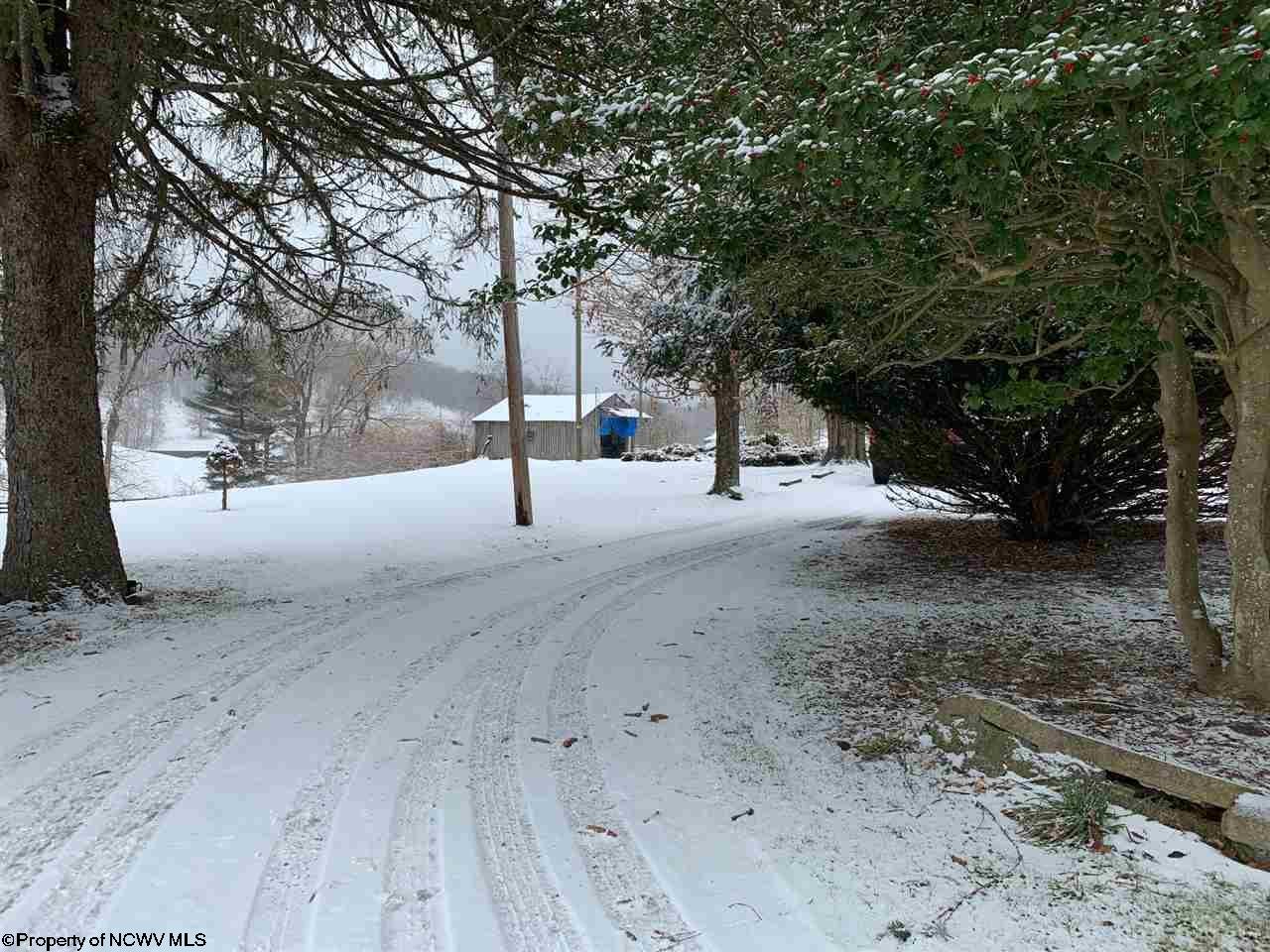 170 Stringtown Road Belington, WV 26250 - Photo 7 of 19 Gallery Image 7