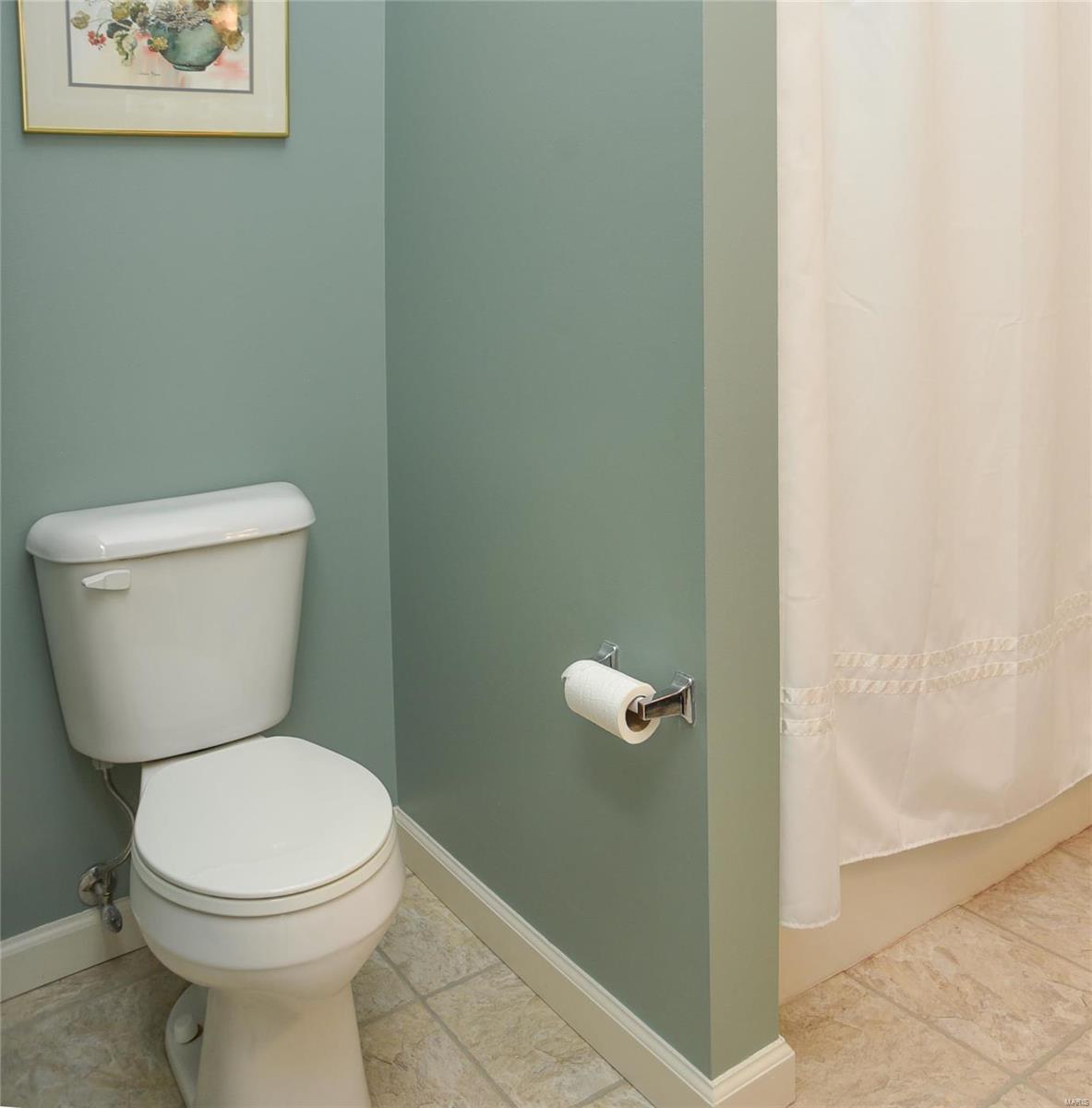 3208 Rue Royale Way St. Charles, MO 63301 - Photo 17 of 31 Gallery Image 17