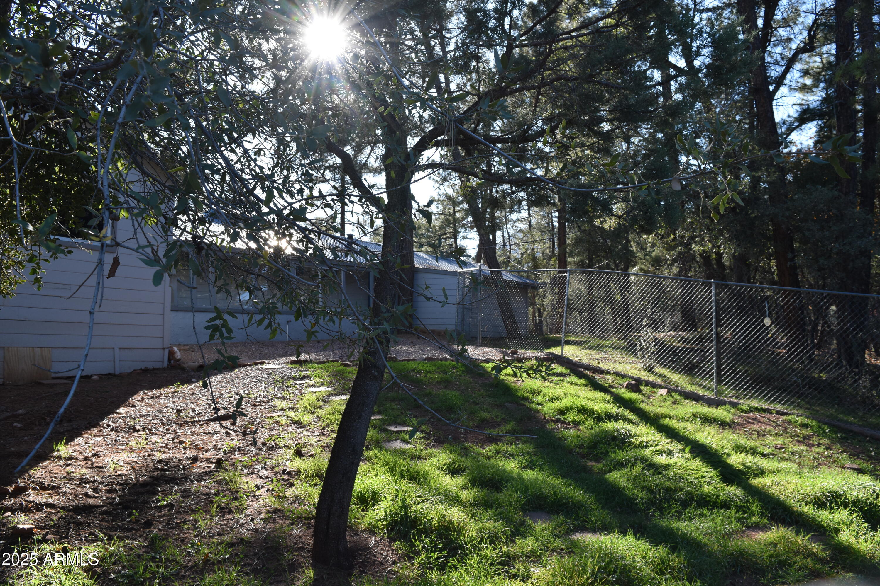 3829 Pine Road Pine, AZ 85544 - Photo 18 of 29 a view of backyard with tree