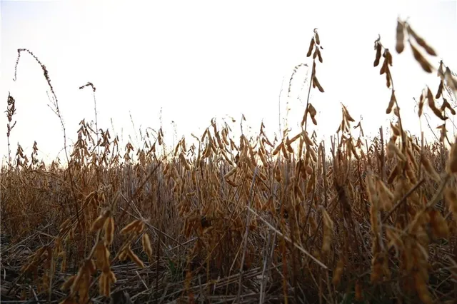 $585,000 | 710 Southeast State Hwy Pp, Leeton, MO 64761