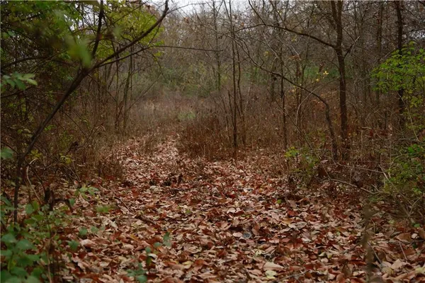 $546,000 | 710 Southeast State Hwy Pp, Leeton, MO 64761