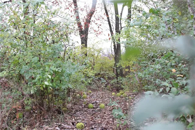 $585,000 | 710 Southeast State Hwy Pp, Leeton, MO 64761