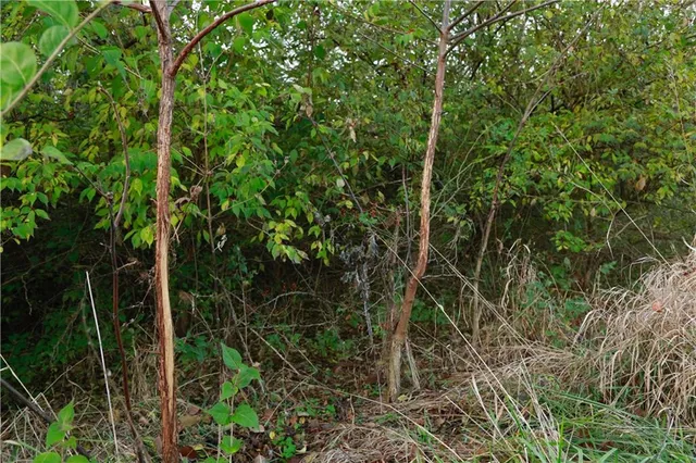 $585,000 | 710 Southeast State Hwy Pp, Leeton, MO 64761