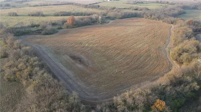 $585,000 | 710 Southeast State Hwy Pp, Leeton, MO 64761