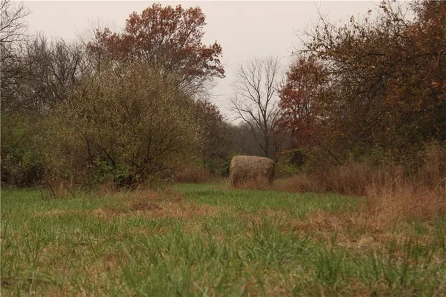 $585,000 | 710 Southeast State Hwy Pp, Leeton, MO 64761