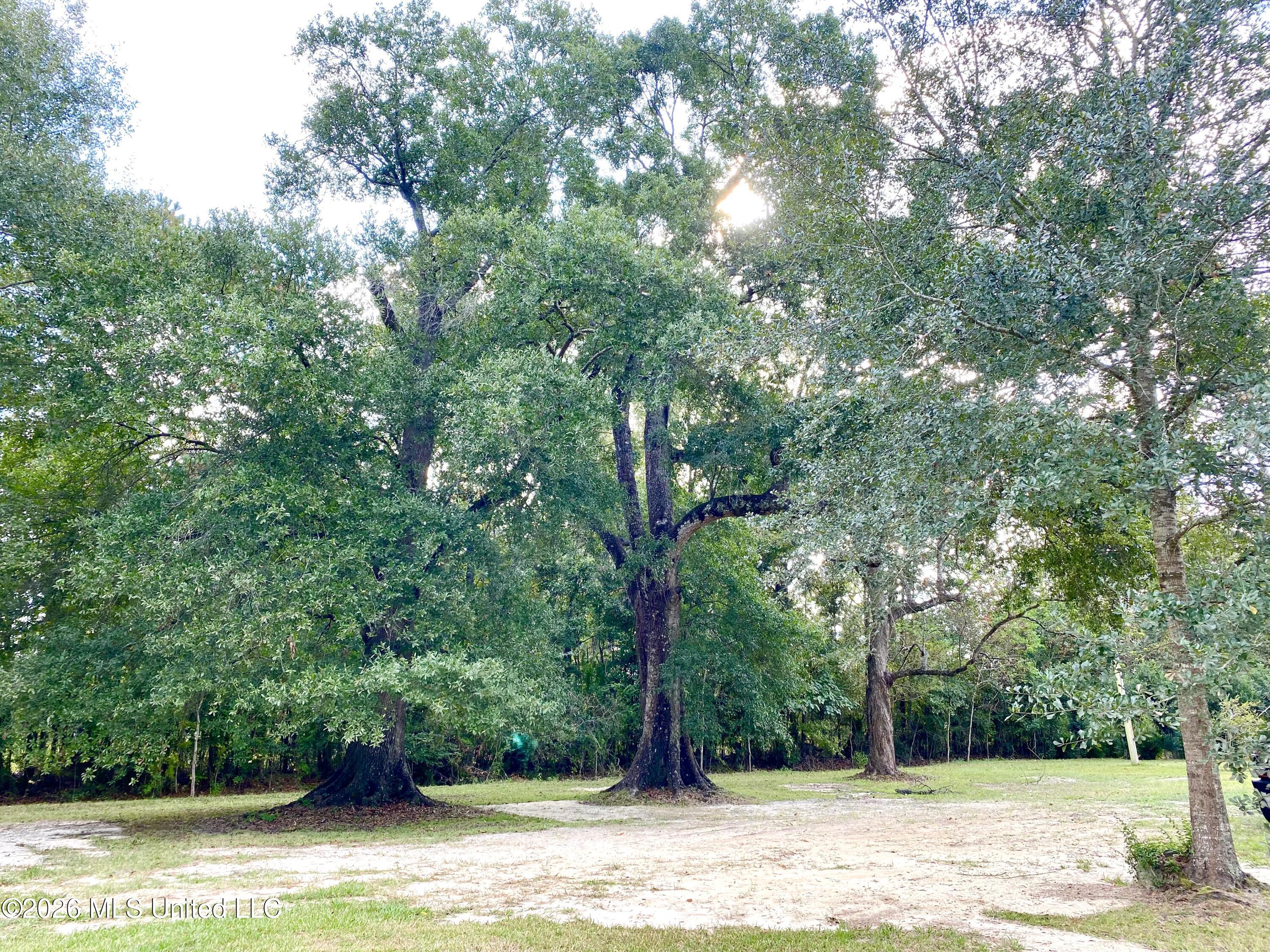 149 Grover Barrett Road Picayune, MS 39466 - Photo 15 of 27 14, IMG_6562
