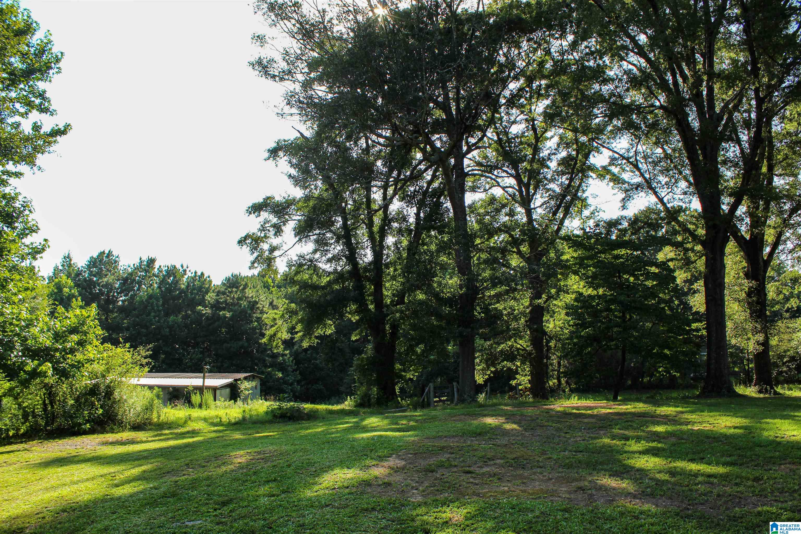 0 Aaron Road Jasper, AL 35501 - Photo 31 of 44