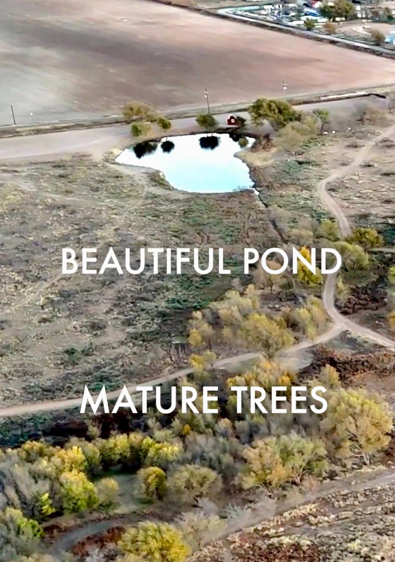 7917 County Road 6050 Shallowater, TX 79363 - Photo 6 of 8 a view of ocean