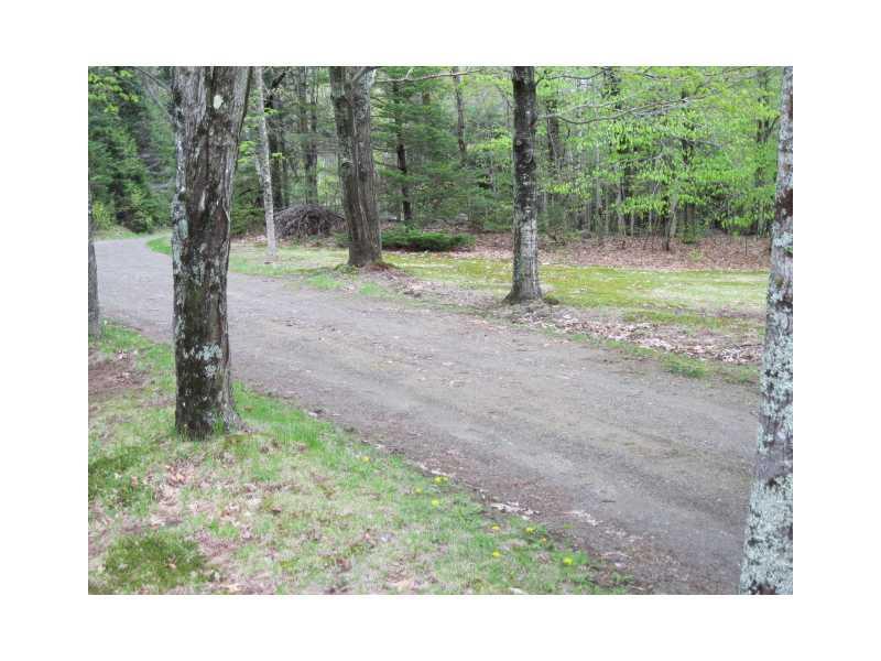 72 Cook Road Palmyra, ME 04965 - Photo 20 of 21 Yard/Garden.