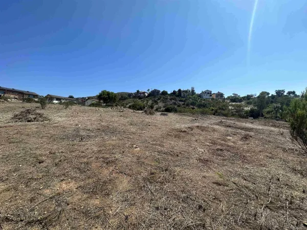 a view of a field with trees in background