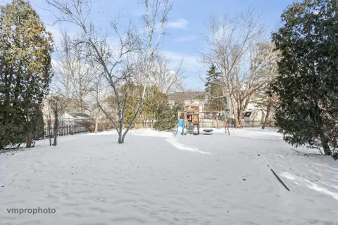 a street view with large trees