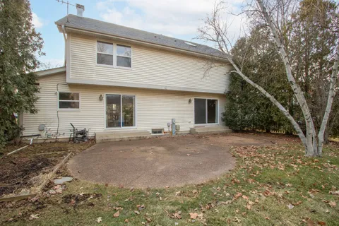 a view of dirt yard with large trees