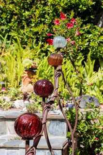 a view of a flower in a garden