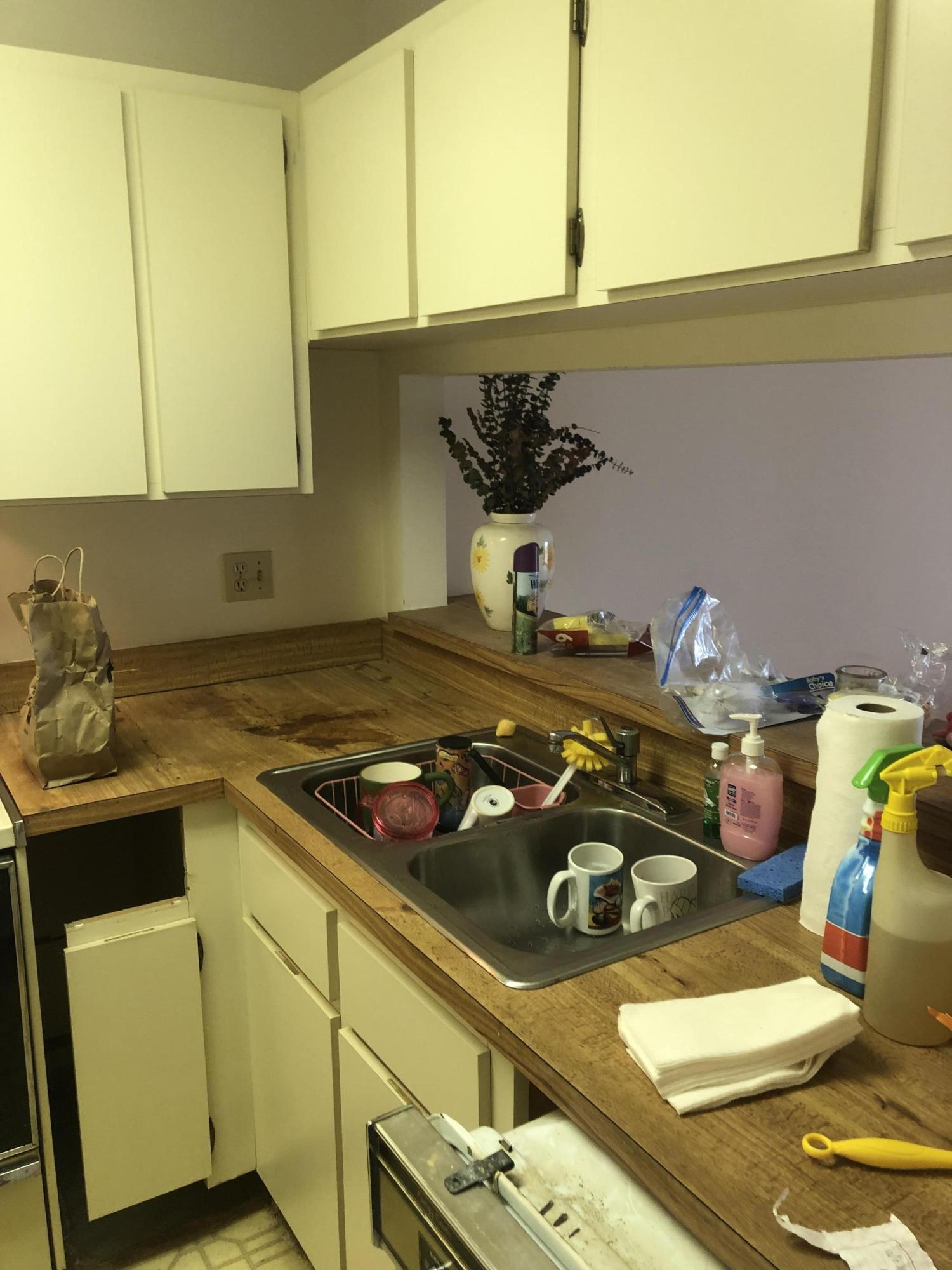 9997 Three Lakes Circle Boca Raton, FL 33428 - Photo 10 of 11 Kitchen