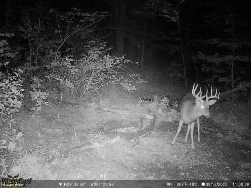 404 East Branch Road Lowell, OH 45744 - Photo 17 of 21 Gallery Image 17