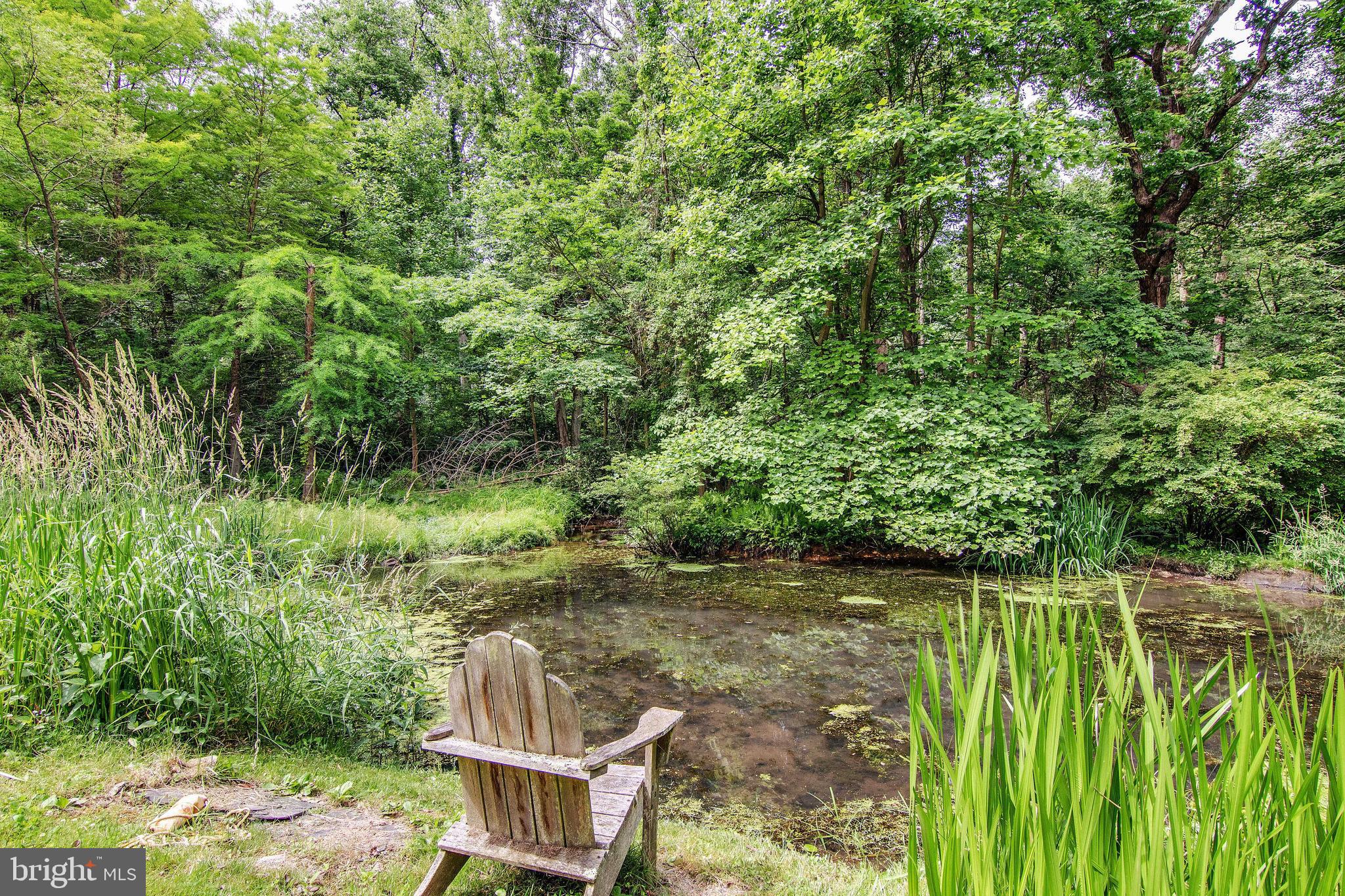 4 Ashbrooke Road Newtown Square, PA 19073 - Photo 5 of 37 Pond