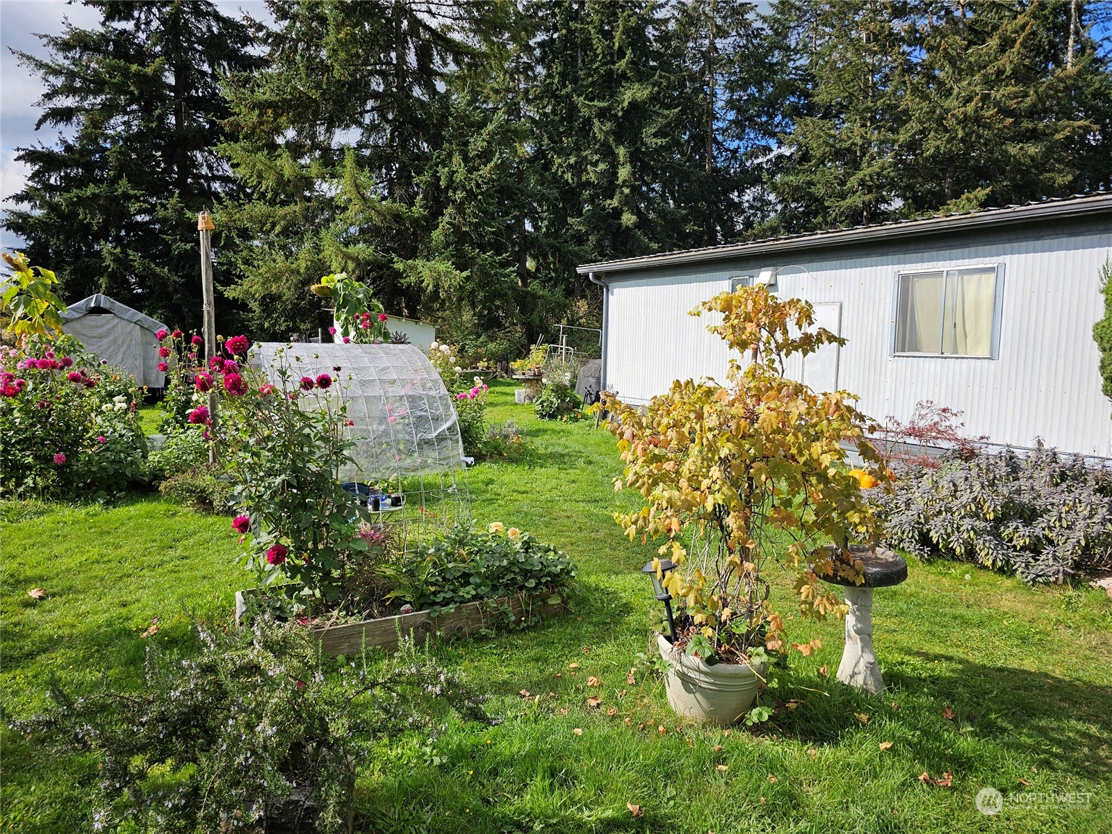 18125 Albany Street Southwest Rochester, WA 98579 - Photo 1 of 21