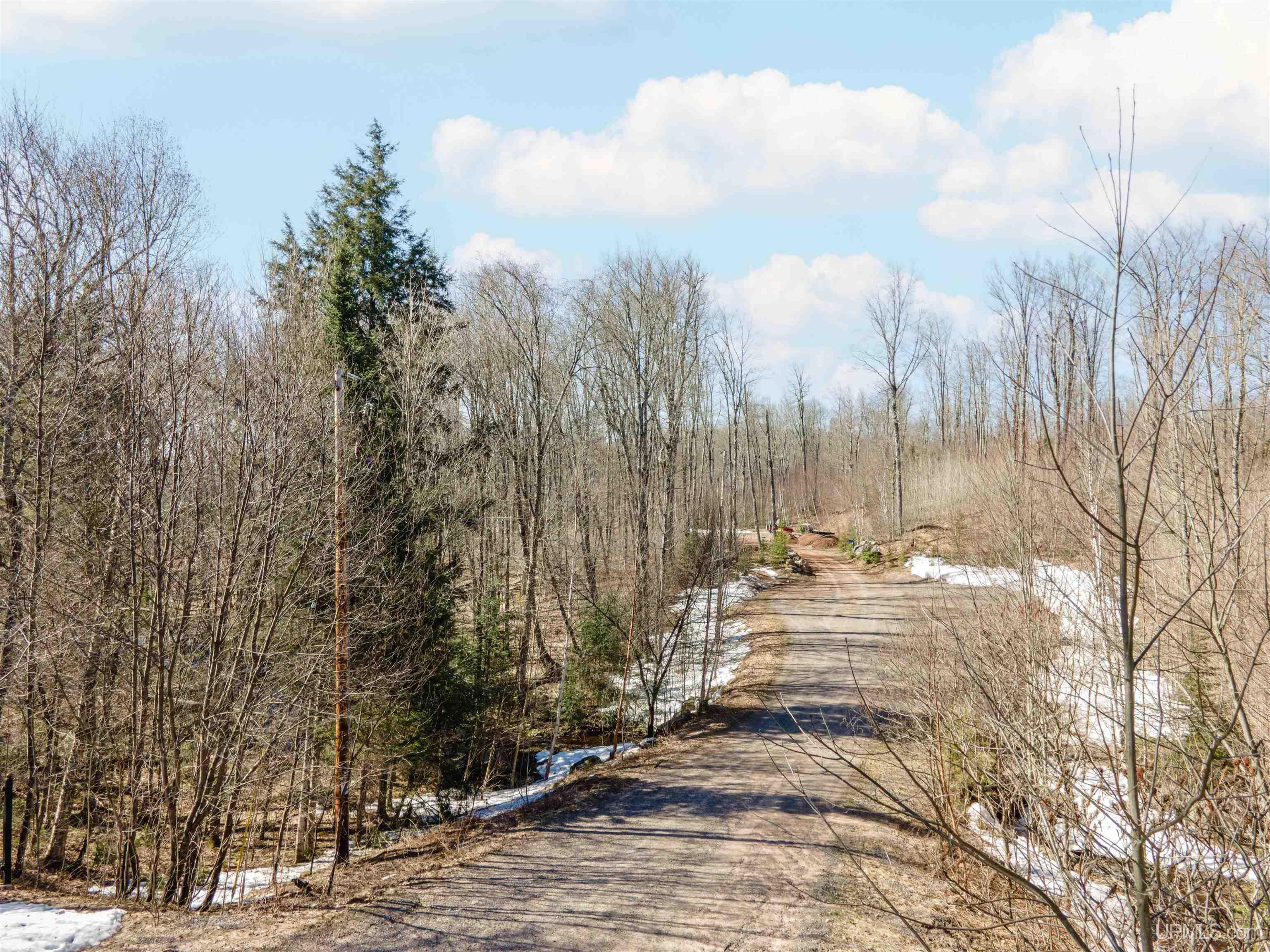 Tamarack Lk Road Watersmeet, MI 49969 - Photo 5 of 9