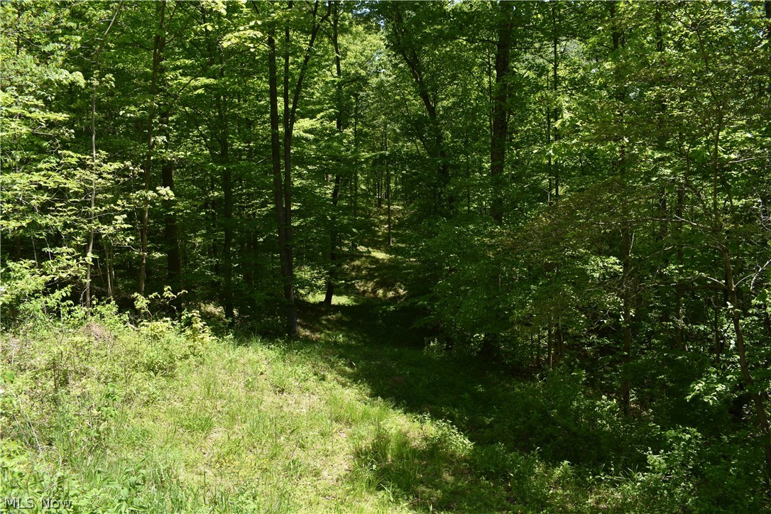 33822 Hopewell Ridge Road Lower Salem, OH 45745 - Photo 23 of 35