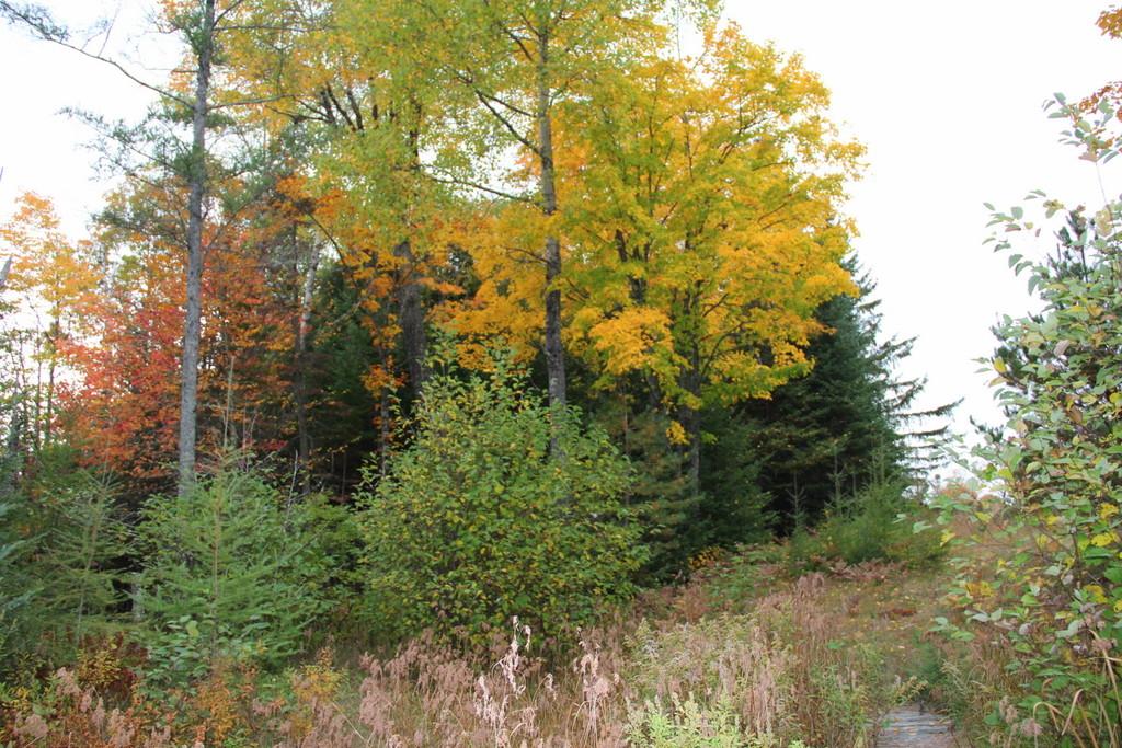 608 North Deer Path Road Park Falls, WI 54552 - Photo 7 of 17 Gallery Image 7