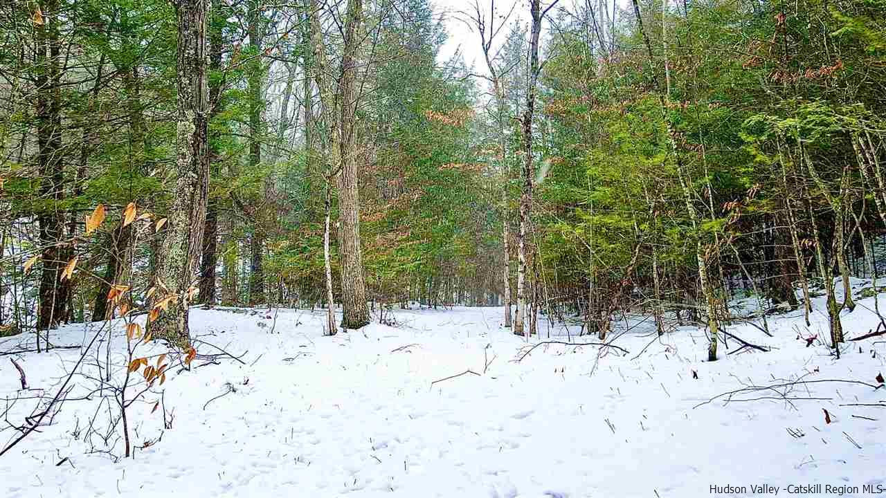 Edison-timmerman Edison Timmerman Road Acra, NY 12405 - Photo 6 of 7 Photo 6