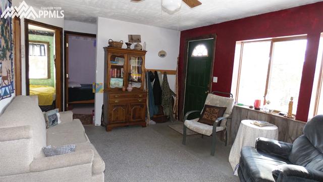 370 Wagonwheel Road Guffey, CO 80820 - Photo 6 of 35 Gallery Image 6
