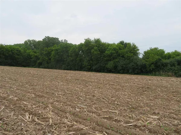 $550,000 | 31.3-ac 31.3-ac Marsh Beaver Dam, Beaver Dam, WI 53916