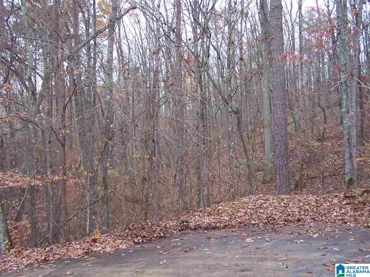 2783 Springville Boulevard Oneonta, AL 35121 - Photo 19 of 21